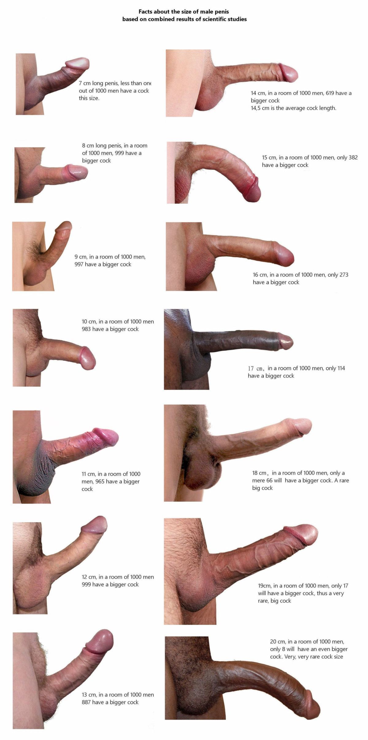 Penis 12 cm Sex Positions: