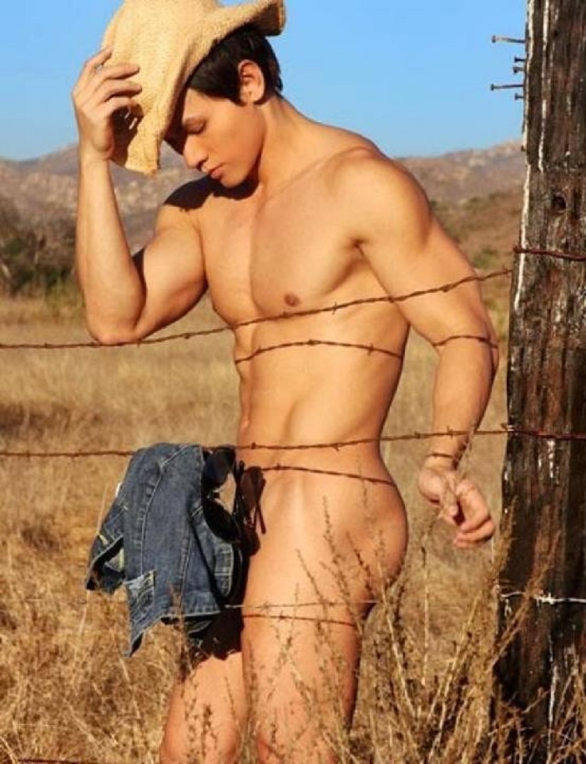 Naked Man On Horse Stock Photo Footage.