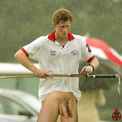 prince harry fakes and real - 57c6ce998aa1a.jpg.