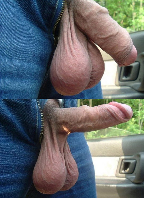 Huge cock perfect hanging balls xxx pic