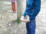 gay tube public porn wank in the park