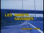 Cadinot - Les Minets Sauvages Boy Porn