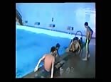 in the indoor pool Vintage MagLover`s GBT Gay Porn